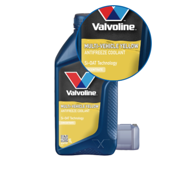 Valvoline Multi Vehicle Coolant Gelb